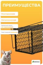 Крысоловка, 27×14×14 см, металлическая, Greengo - Фото 4