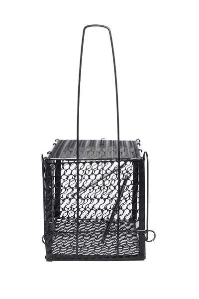 Крысоловка, 27×14×14 см, металлическая, Greengo