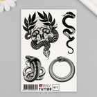 Татуировка на тело "Змея, череп" 10х15 см - фото 321611356