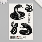 Татуировка на тело "Змея, опасность" 10х15 см - фото 321611359