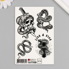 Татуировка на тело "Змея, череп, кинжал" 10х15 см - Фото 1
