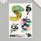 Татуировка на тело "Змеи" 10х15 см - фото 321611383