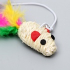 Дразнилка-удочка «Мышь из сизаля», цвет МИКС - Фото 4