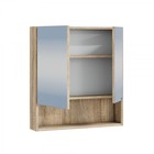 Зеркало – шкаф для ванной комнаты «СаНта. Мира 60», 600×120×650 мм, цвет янтарный  (артикул 10555767)  большой выбор товаров оптом и в розницу по низким ценам с доставкой