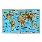Карта настенная двусторонняя "Наша планета. Животный и растительный мир", ГеоДом, 58х38 см - фото 321612344