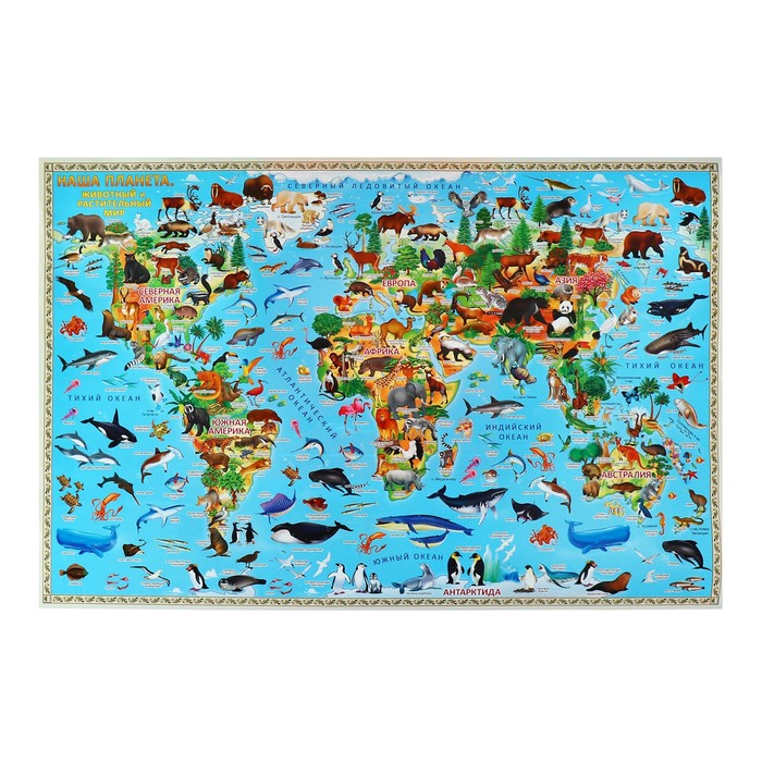 Карта настенная двусторонняя "Наша планета. Животный и растительный мир", ГеоДом, 58х38 см - Фото 1
