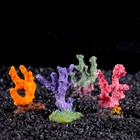 Декоративный коралл "Синулярия мини", 6 х 3,5 х 8,5 см, микс видов - Фото 1