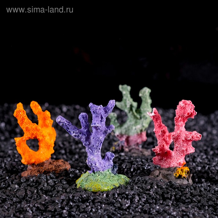 Декоративный коралл "Синулярия мини", 6 х 3,5 х 8,5 см, микс видов - Фото 1