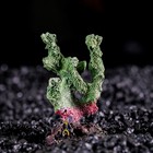 Декоративный коралл "Синулярия мини", 6 х 3,5 х 8,5 см, микс видов - Фото 4