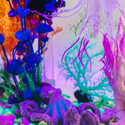 Декор для аквариума «Осьминог», 12×11×5 см