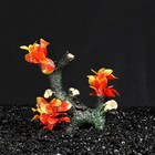 Декор для аквариума "Коряга" с оранжево-розовыми растениями, 15 х 7 х 16,5 см - Фото 4
