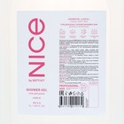 Гель для душа NICE by SEPTIVIT Love Is, 5 л - фото 24136724