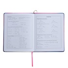 Дневник универсальный 1-11 класс, 48 листов "АЛИСА", твёрдая обложка из искусственной кожи, ляссе, универсальная шпаргалка, блок 80 г/м2 - фото 24274226