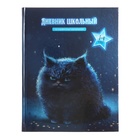 Дневник для 1-4 классов, 48 листов "Угрюмый кот", твёрдая обложка картон 7БЦ, глянцевая ламинация, шпаргалка, 65 г/м2 10335707 - фото 12335912