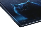 Дневник для 1-4 классов, 48 листов "Угрюмый кот", твёрдая обложка картон 7БЦ, глянцевая ламинация, шпаргалка, 65 г/м2 - фото 24323702