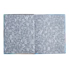 Дневник универсальный 1-11 класс, 48 листов "Девушка с кошкой", твёрдая обложка, матовая ламинация, универсальная шпаргалка, блок 65 г/м2 - фото 24323767