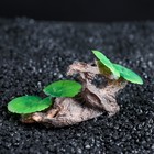 Грот "Коряга" с растениями, 11 х 6,5 х 6 см - Фото 3