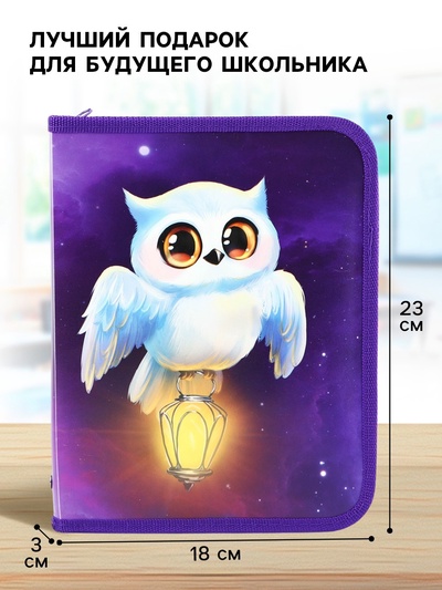 Набор первоклассника в папке для тетрадей 25 предметов «Папка отличника. Сова»