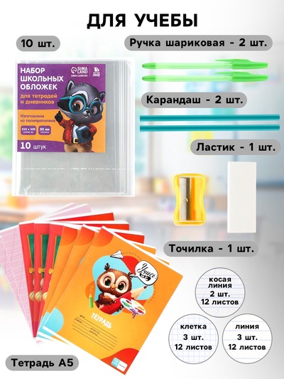 Набор первоклассника в папке для тетрадей 25 предметов «Папка отличника. Сова»