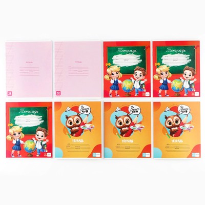 Набор первоклассника в папке для тетрадей 25 предметов «Папка отличника. Сова»