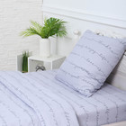 Комплект постельного белья 1,5 сп Позитив св-серый, 150х210 см, 150х210 см, 70х70 см, бязь, 120г/м, хл100% - фото 24081983