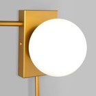 Светильник настенный Eurosvet Fredo 40036/1, E14, 1х60Вт, 200х145х300 мм, цвет золото - Фото 2