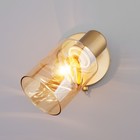 Светильник настенный Eurosvet Ansa 20120/1, E14, 1х40Вт, 100х190х150 мм, цвет перламутровое золото - Фото 5