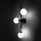 Светильник настенный Eurosvet Volver 50383/3, G9, 3х40Вт, 220х290х750 мм, цвет чёрный - Фото 3