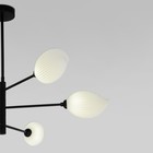 Светильник подвесной Eurosvet Sinki 30189/6, G9, 6х5Вт, 860х860 мм, цвет чёрный - Фото 3