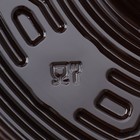 Менажница одноразовая, пластик, d=26 см, h=4.2 см, 5 секций, дно, круглая, коричневая - Фото 8