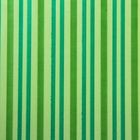 Пленка для цветов CartaPack "Verona" зеленый 700 мм х 8.5 м, 35 мкм - Фото 2