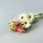 Пакет для цветов конус прозрачный - Фото 2