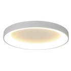Светильник потолочный Mantra Niseko, LED, 4700Лм, 2700-5000К, 95 мм, цвет белый - фото 306037610