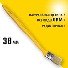 Кисть радиаторная STAYER UNIVERSAL, натуральная щетина, пластмассовая ручка, 38 мм, 1.5" - фото 302028850