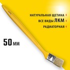 Кисть радиаторная STAYER UNIVERSAL, натуральная щетина, пластмассовая ручка, 50 мм, 2" - фото 302028853