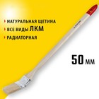 Кисть радиаторная STAYER UNIVERSAL, натуральная щетина, деревянная ручка, 50 мм, 2" - фото 302028861