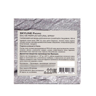 Парфюмерная вода мужская Skyline "Pacific", 100 мл - фото 24356956