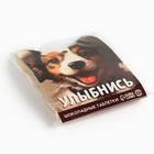 Шоколадные таблетки - дропсы «Улыбнись», 50 г. 10206888