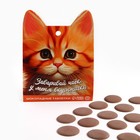 Шоколадные таблетки - дропсы «Заваривай чаёк», 50 г. - фото 321614371