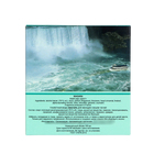 Туалетная вода женская Genty "Niagara", 100 мл - фото 24357026