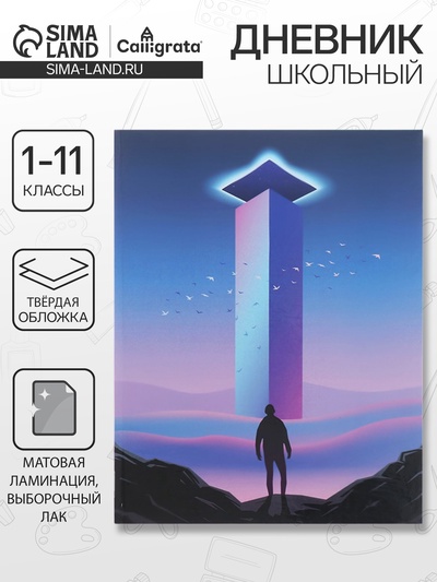 Дневник школьный для 1-11 классов, Calligrata TOP«На грани», твёрдая обложка, 40 листов