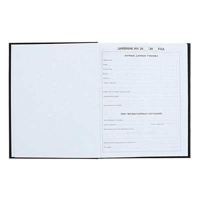 Дневник тв обл 1-11 кл, мат/лам, ВЫБ ЛАК, 40 л., Calligrata «Капибара»