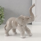 Сувенир керамика "Серый слон с хоботом вверх" 8х16х16,5 см - Фото 1