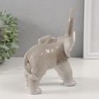 Сувенир керамика "Серый слон с хоботом вверх" 8х16х16,5 см - Фото 2