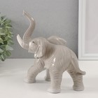 Сувенир керамика "Серый слон с хоботом вверх" 8х16х16,5 см - Фото 3