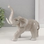 Сувенир керамика "Серый слон с хоботом вверх" 8х16х16,5 см - Фото 4