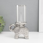 Подсвечник керамика, стекло на 1 свечу "Слон" d=8 см серебро 16х10х27 см - фото 321631269