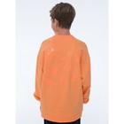 Толстовка для мальчиков, рост 140 см, цвет оранжевый - фото 110337090