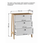 Комод для хранения «Теодора», 750×430×900 мм, цвет белый/крафт золотой - Фото 2