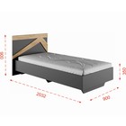 Кровать односпальная «Теодора», с основанием, спальное место 900×2000 мм, цвет графит/крафт золотой - Фото 2